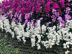 -石家庄市植物园
