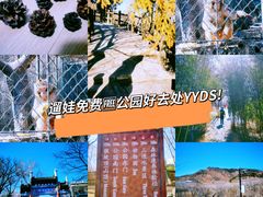 -北宫国家森林公园