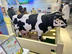 -红星前进面包牛奶公司(君太店)