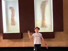 -世界恐龙谷景区