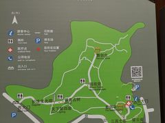 -上海佘山国家森林公园天马山园