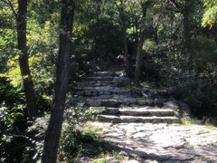-北京鹫峰国家森林公园