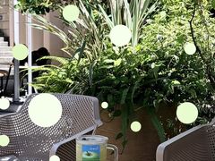 -星满杯TEAFUL(罗湖东门店)