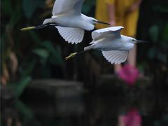 -重庆彩云湖湿地公园