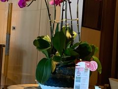 -莆田餐厅PUTIEN(西安万象天地店)