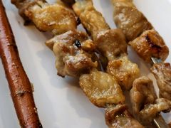 -红柳枝滩羊烧烤·非遗