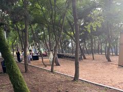 -养马岛旅游度假区