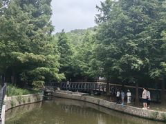 -白水寺森林公园