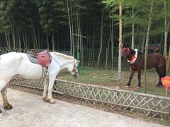 -陶祖圣境风景区