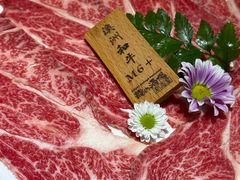 -龙酒场·关西寿喜烧·居酒屋(罗湖店)