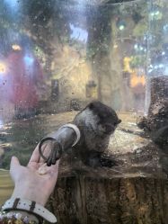 -Zoolung Zoolung动物主题公园(海信广场店)