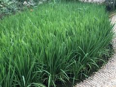 -中青旅遨游旅行旗舰店