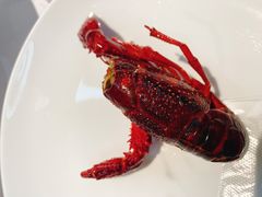-洪福龙虾