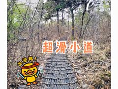 -北京西山国家森林公园