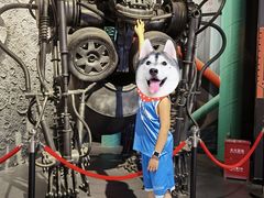 -极限PLAY运动娱乐新世界·团建派对潮玩休闲馆·室内蹦极高空游乐园