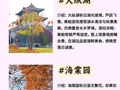 -黄海国家森林公园