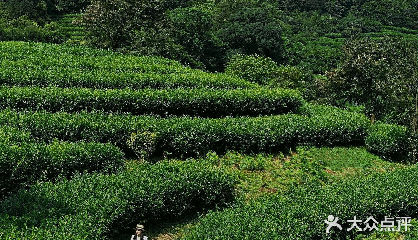 小众宝藏旅游胜地——云浮翔顺象窝山生态园