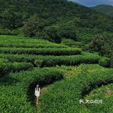 小众宝藏旅游胜地——云浮翔顺象窝山生态园