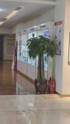 -石家庄苏亚美联臣医疗美容医院