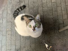 -Wagas沃歌斯(尚街店)