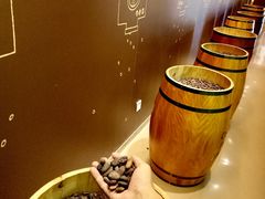 -歌斐颂巧克力小镇