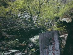 -秦岭风景区