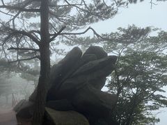 -罗田薄刀峰风景区
