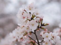 -苏州上方山国家森林公园
