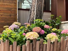 -睿柏云酒店-餐厅