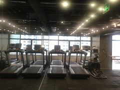 -健身专家Wellness Experts