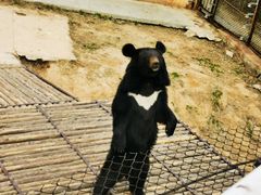 -青岛森林野生动物世界