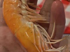 -阿里元海鲜·闽南特色菜(曾厝垵店)