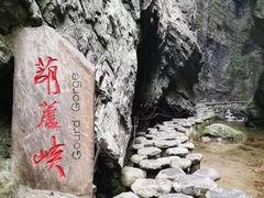 -牛背梁国家森林公园