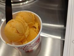 小白杏与桃儿-莉莉熊Lililove Gelato (意大利手工冰淇淋)