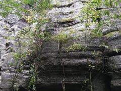 -梭布垭石林景区