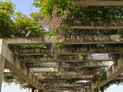 -嘉北郊野公园