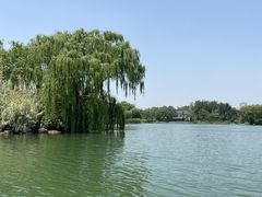 -济南大明湖景区
