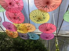 -广东花都香草世界旅游度假区