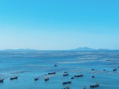 -枸杞岛
