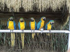 -西霞口神雕山野生动物世界