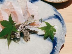 -银座岩