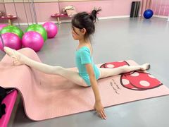 -舞蕾舞蹈(特长生校区)