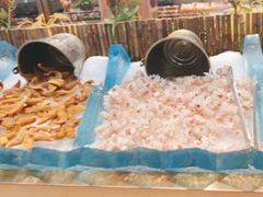 -新艺自助美食城(中山路店)