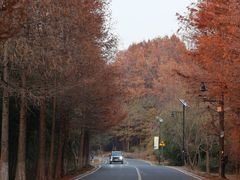 -南京市无想山景区