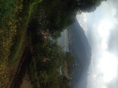 iphone_upload_pic-广州市流溪河国家森林公园