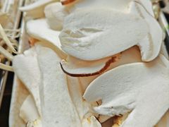 -抚仙湖野生菌石锅鱼(腾冲总店)