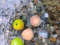 -西岭雪山大飞水景区