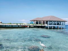 -中央格兰德岛温泉度假酒店 - 全包