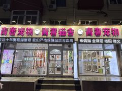 -青奢宠物·青奢猫舍