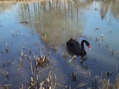 -昆山城市生态森林公园